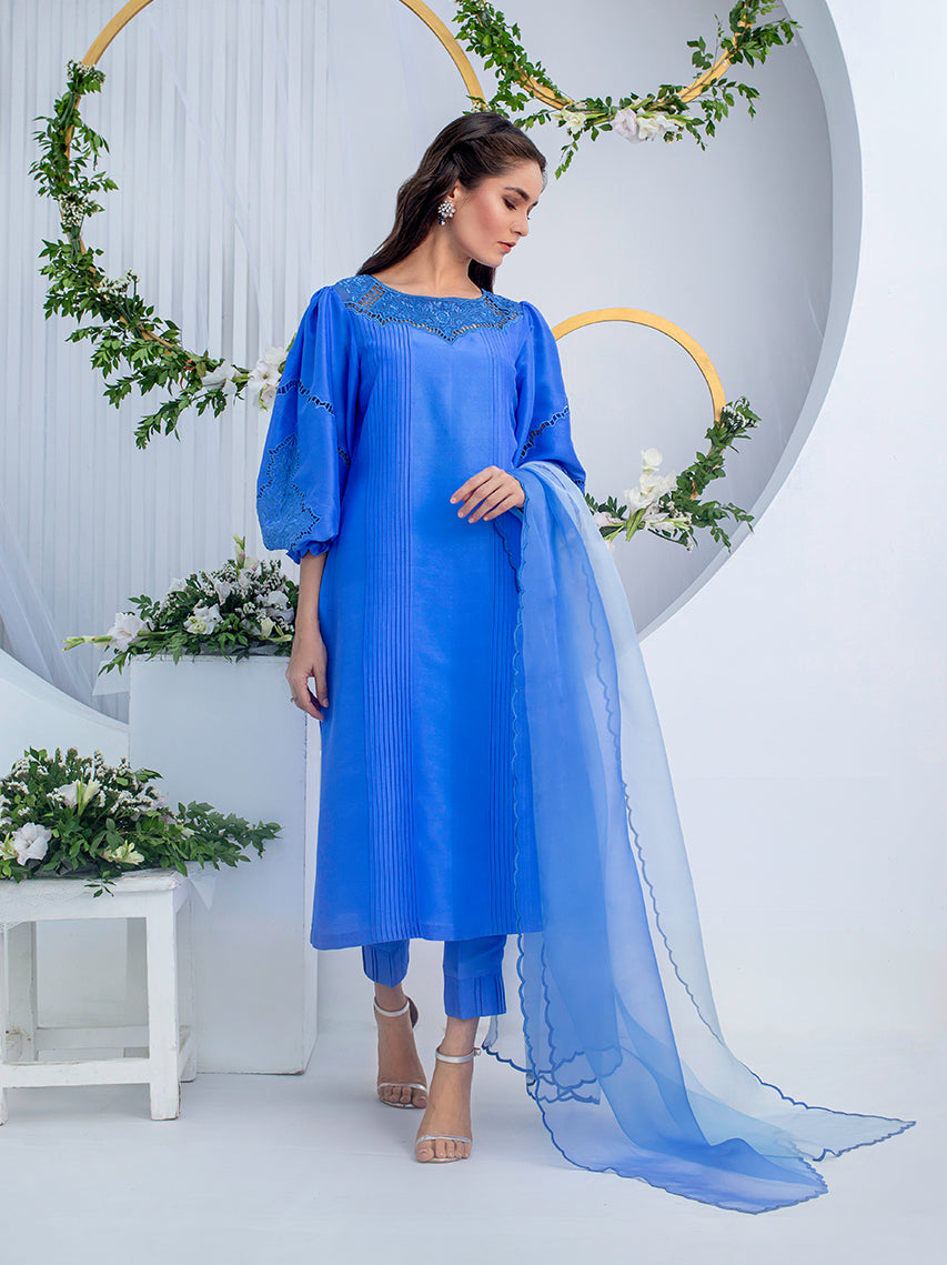 Anam Akhlaq | Festive Collection | D-02 - Riwayat-e-Khas