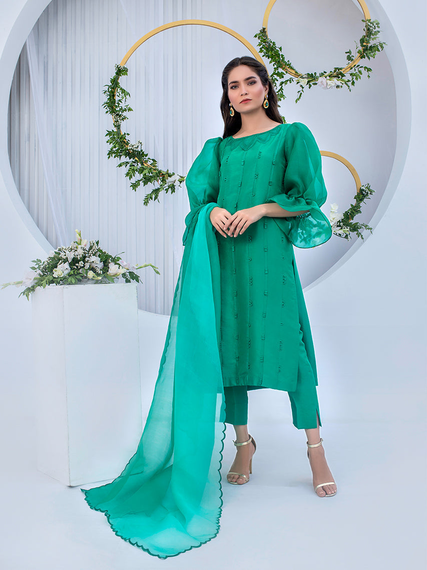 Anam Akhlaq | Festive Collection | D-05 - Riwayat-e-Khas