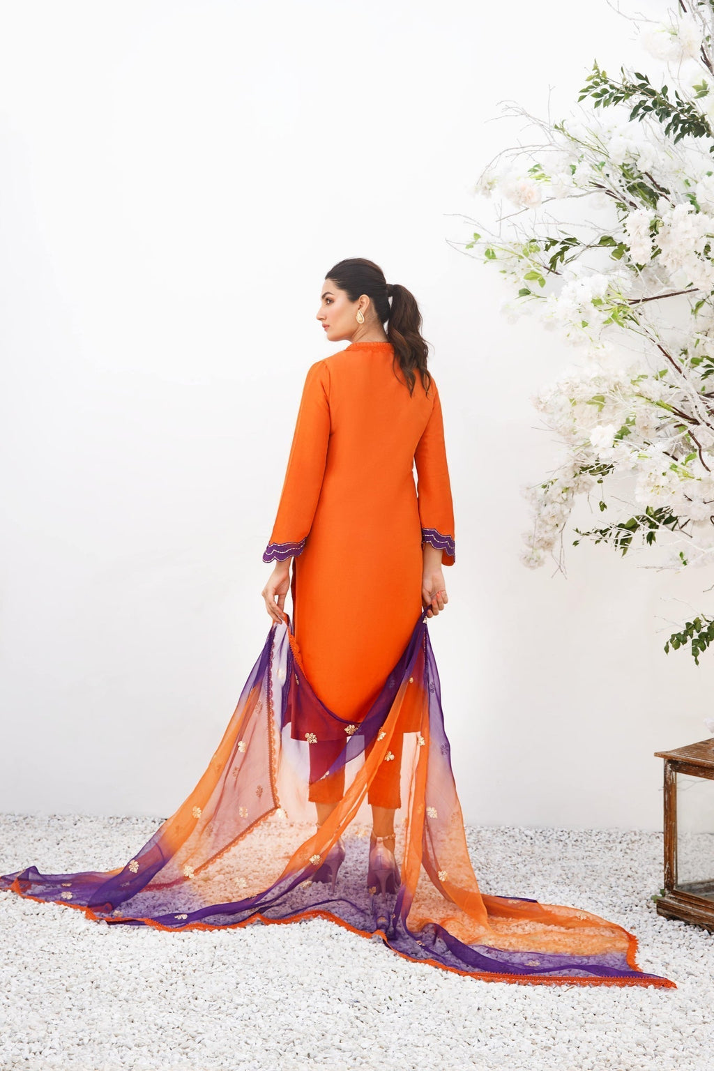 Anam Akhlaq | Festive Collection | D-19 - Riwayat-e-Khas