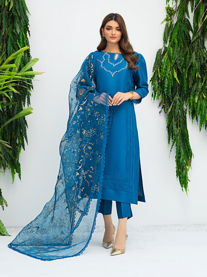 Anam Akhlaq | Festive Collection | D-07 - Riwayat-e-Khas