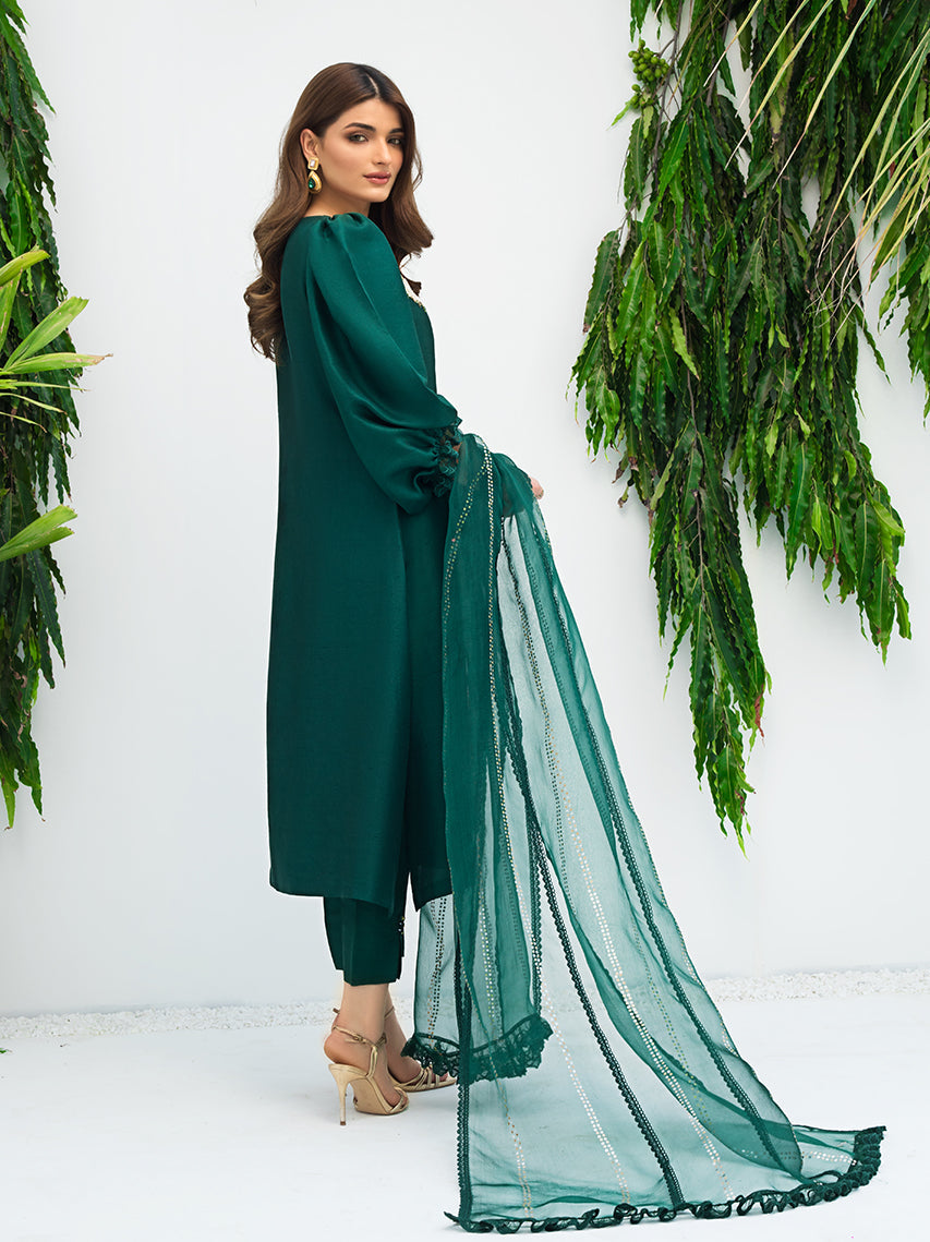 Anam Akhlaq | Festive Collection | D-08 - Riwayat-e-Khas