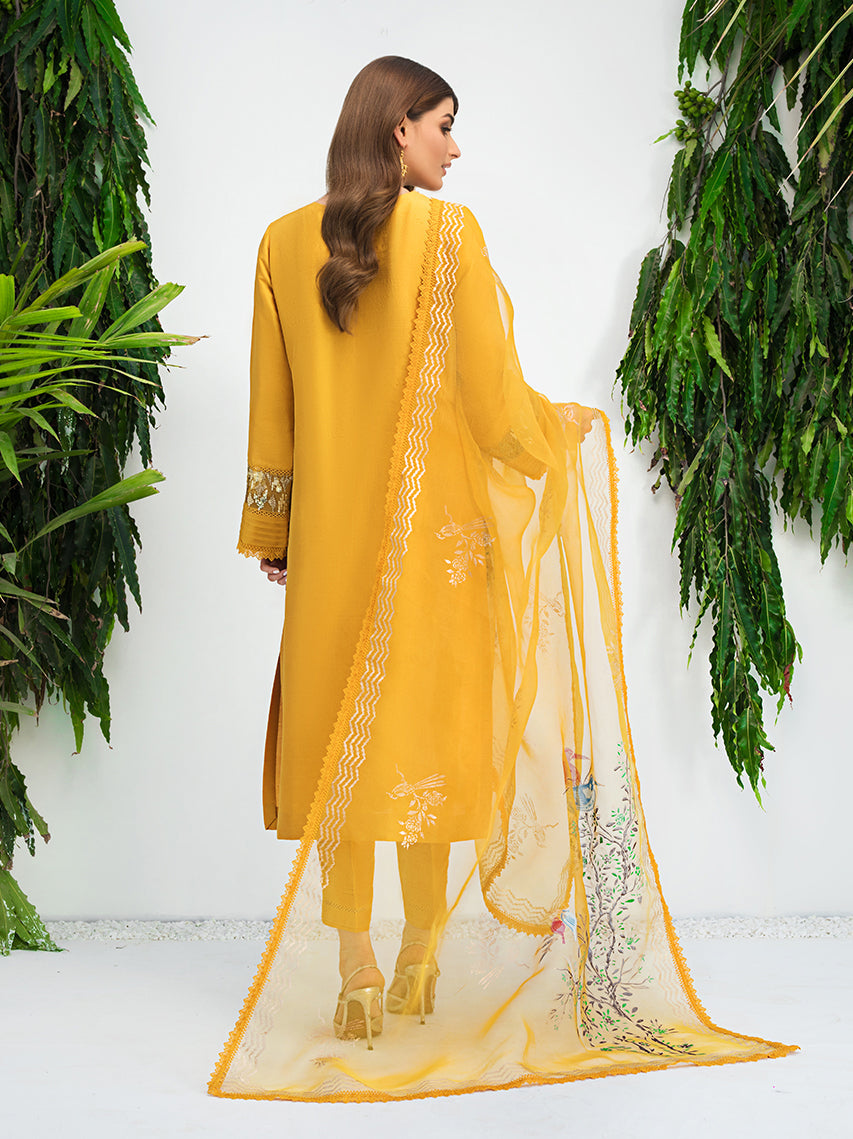 Anam Akhlaq | Festive Collection | D-10 - Riwayat-e-Khas