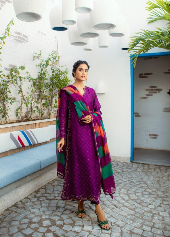 Anam Akhlaq | Festive Collection | D-14 - Riwayat-e-Khas