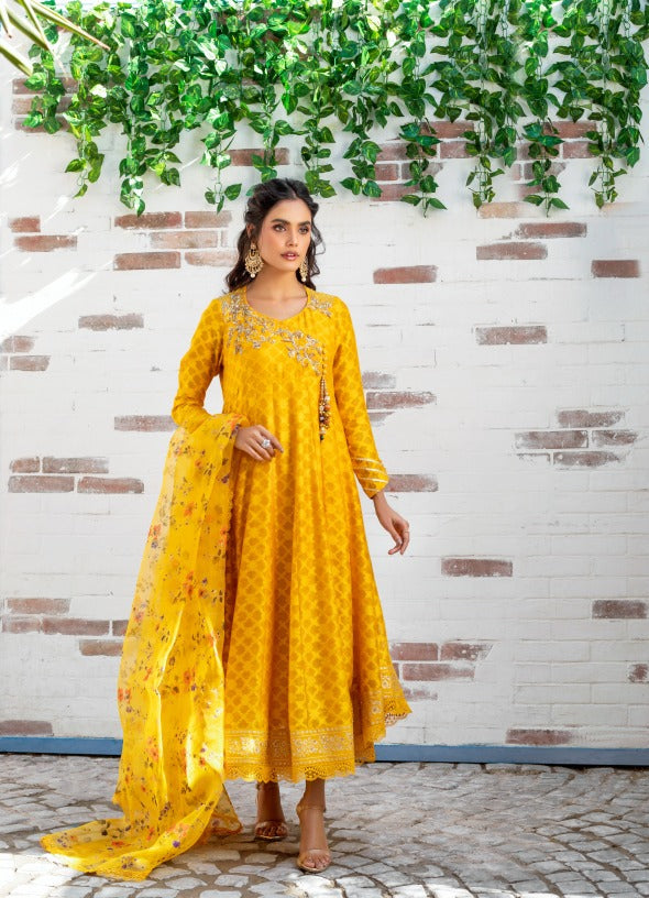 Anam Akhlaq | Festive Collection | D-12 - Riwayat-e-Khas