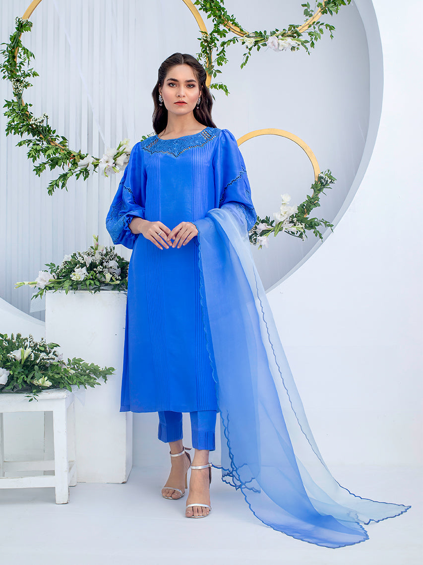 Anam Akhlaq | Festive Collection | D-02 - Riwayat-e-Khas