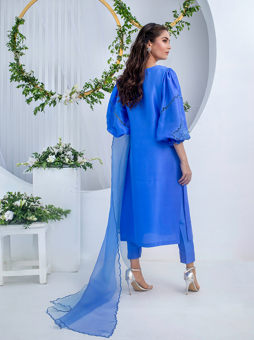 Anam Akhlaq | Festive Collection | D-02 - Riwayat-e-Khas
