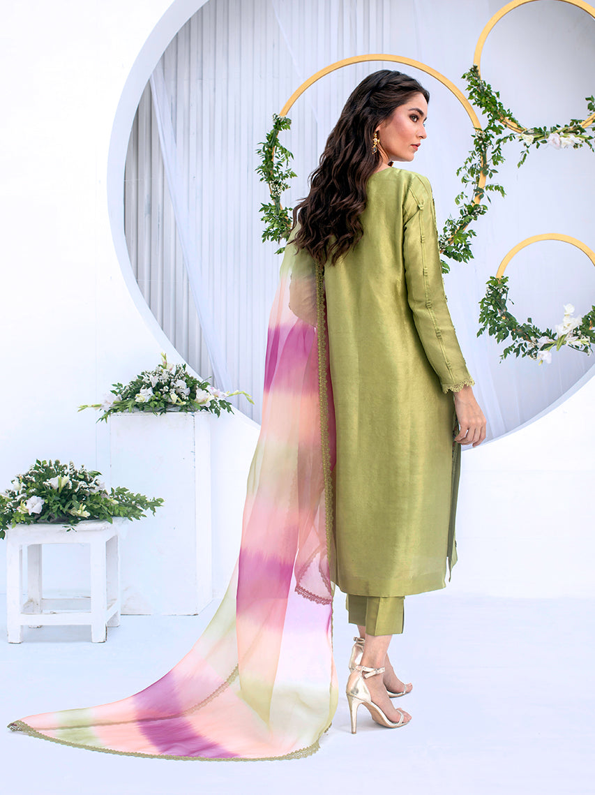Anam Akhlaq | Festive Collection | D-04 - Riwayat-e-Khas