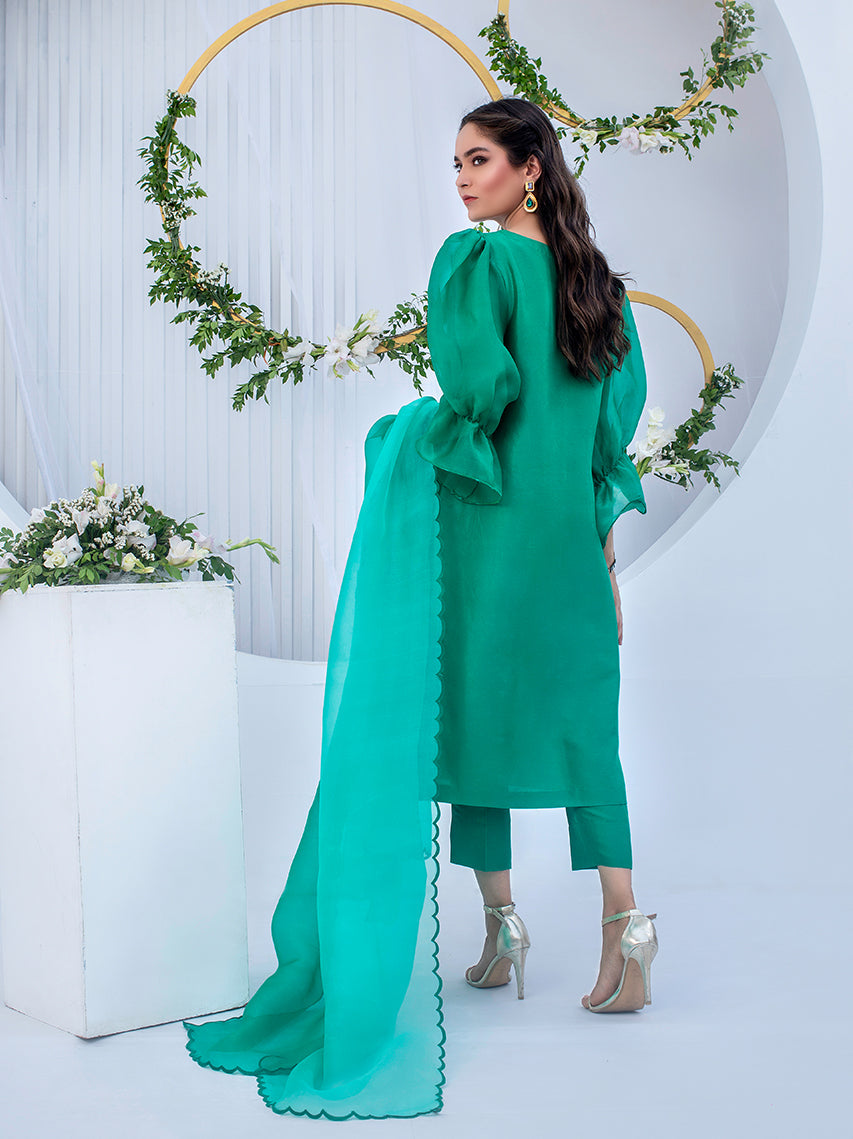 Anam Akhlaq | Festive Collection | D-05 - Riwayat-e-Khas