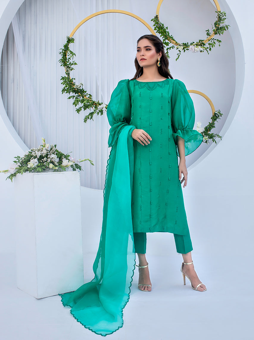 Anam Akhlaq | Festive Collection | D-05 - Riwayat-e-Khas