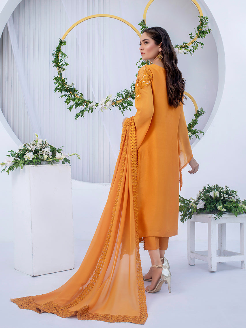 Anam Akhlaq | Festive Collection | D-03 - Riwayat-e-Khas