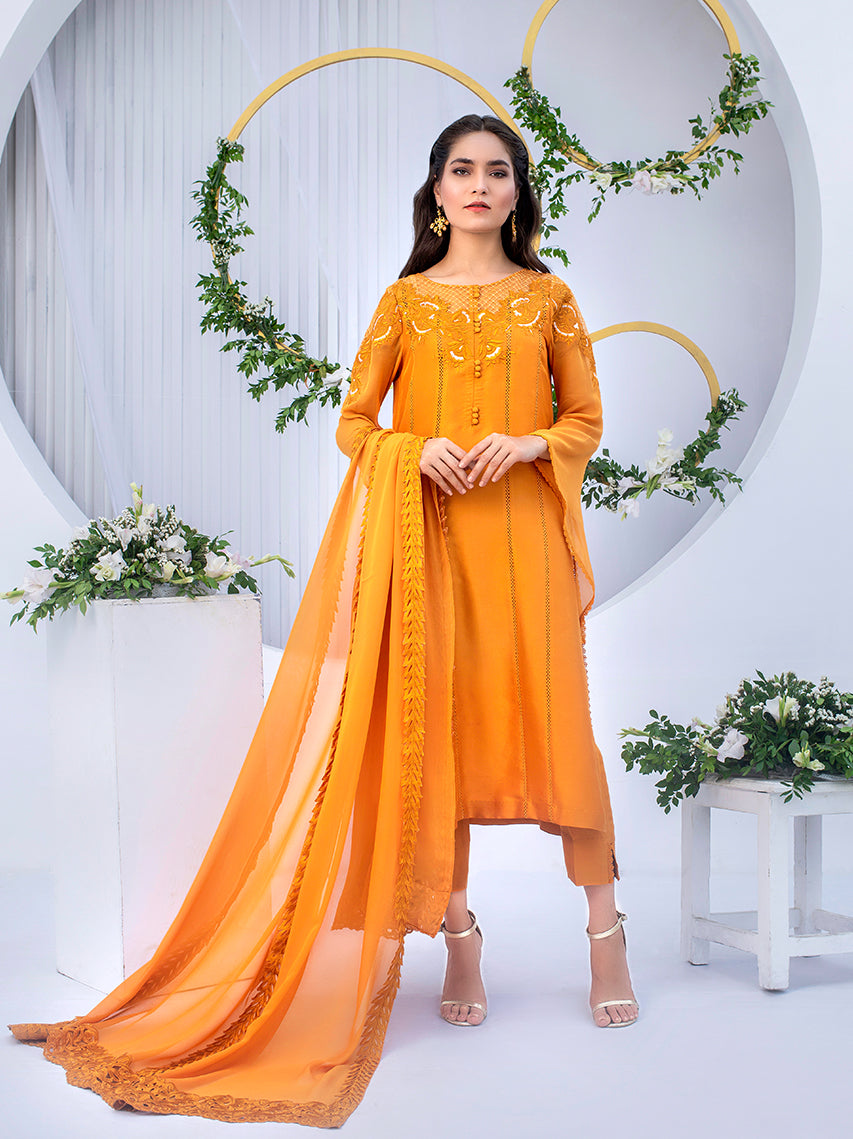 Anam Akhlaq | Festive Collection | D-03 - Riwayat-e-Khas
