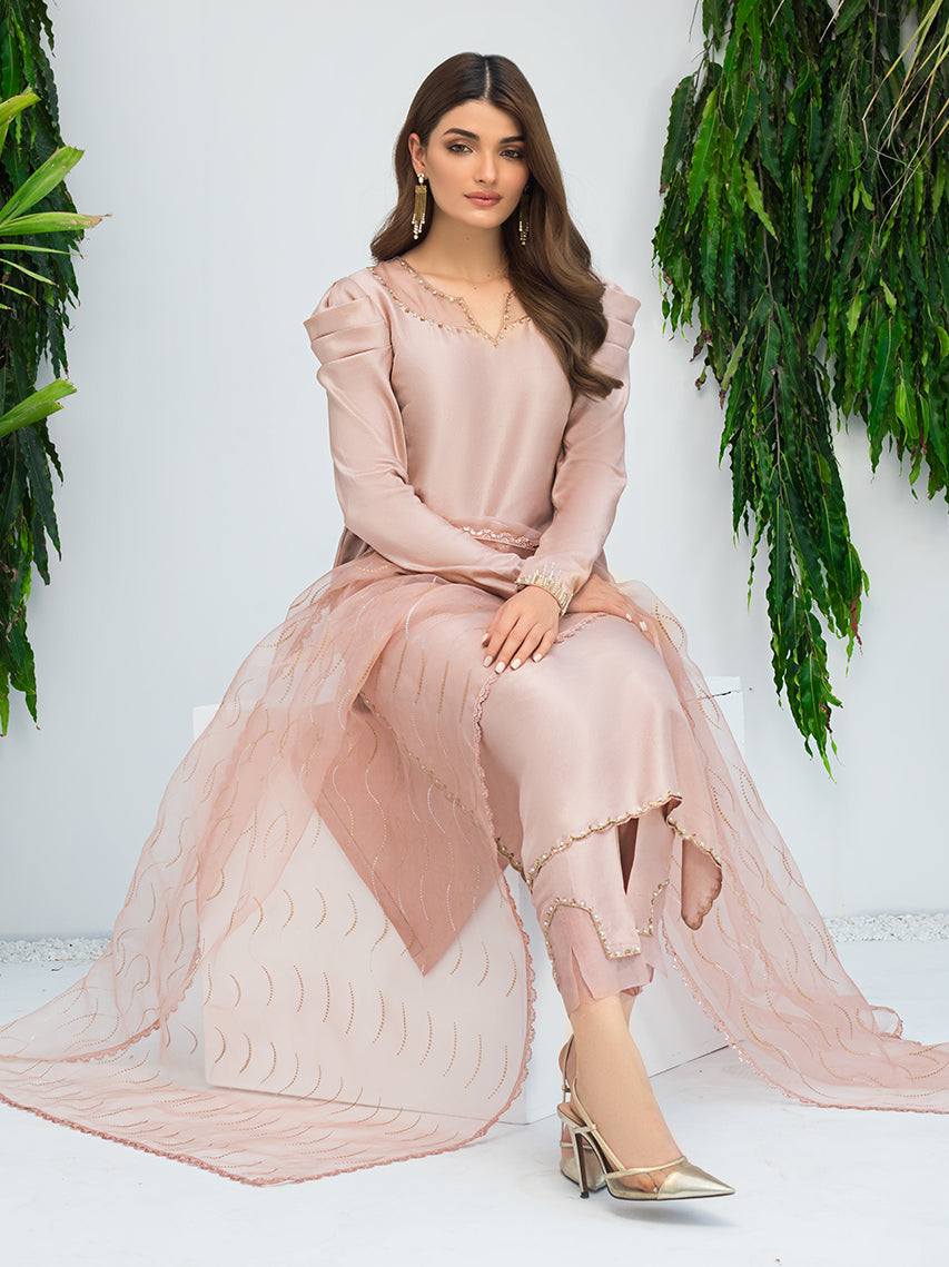 Anam Akhlaq | Festive Collection | D-09 - Riwayat-e-Khas