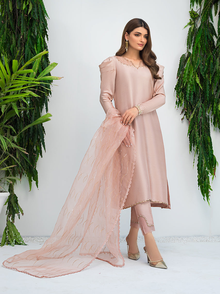 Anam Akhlaq | Festive Collection | D-09 - Riwayat-e-Khas