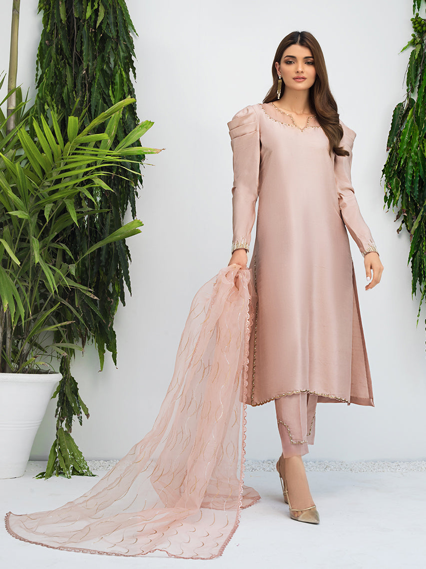 Anam Akhlaq | Festive Collection | D-09 - Riwayat-e-Khas