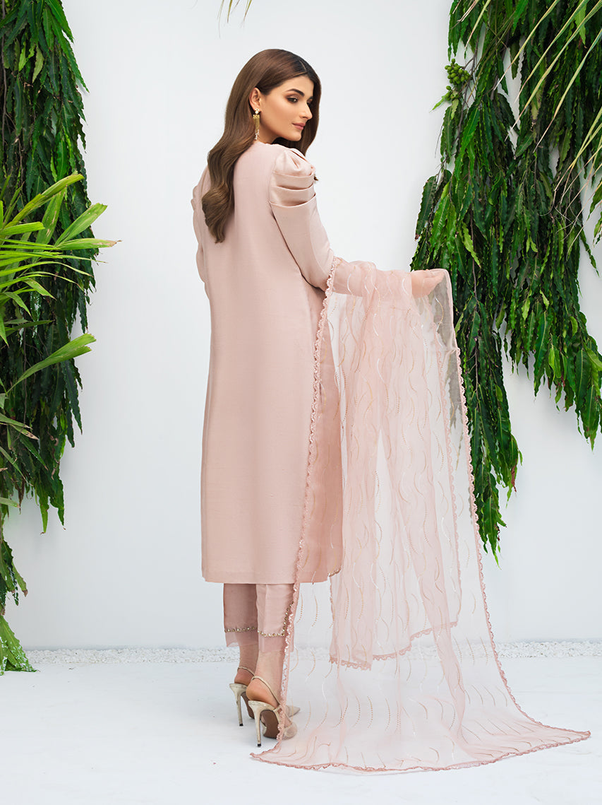 Anam Akhlaq | Festive Collection | D-09 - Riwayat-e-Khas