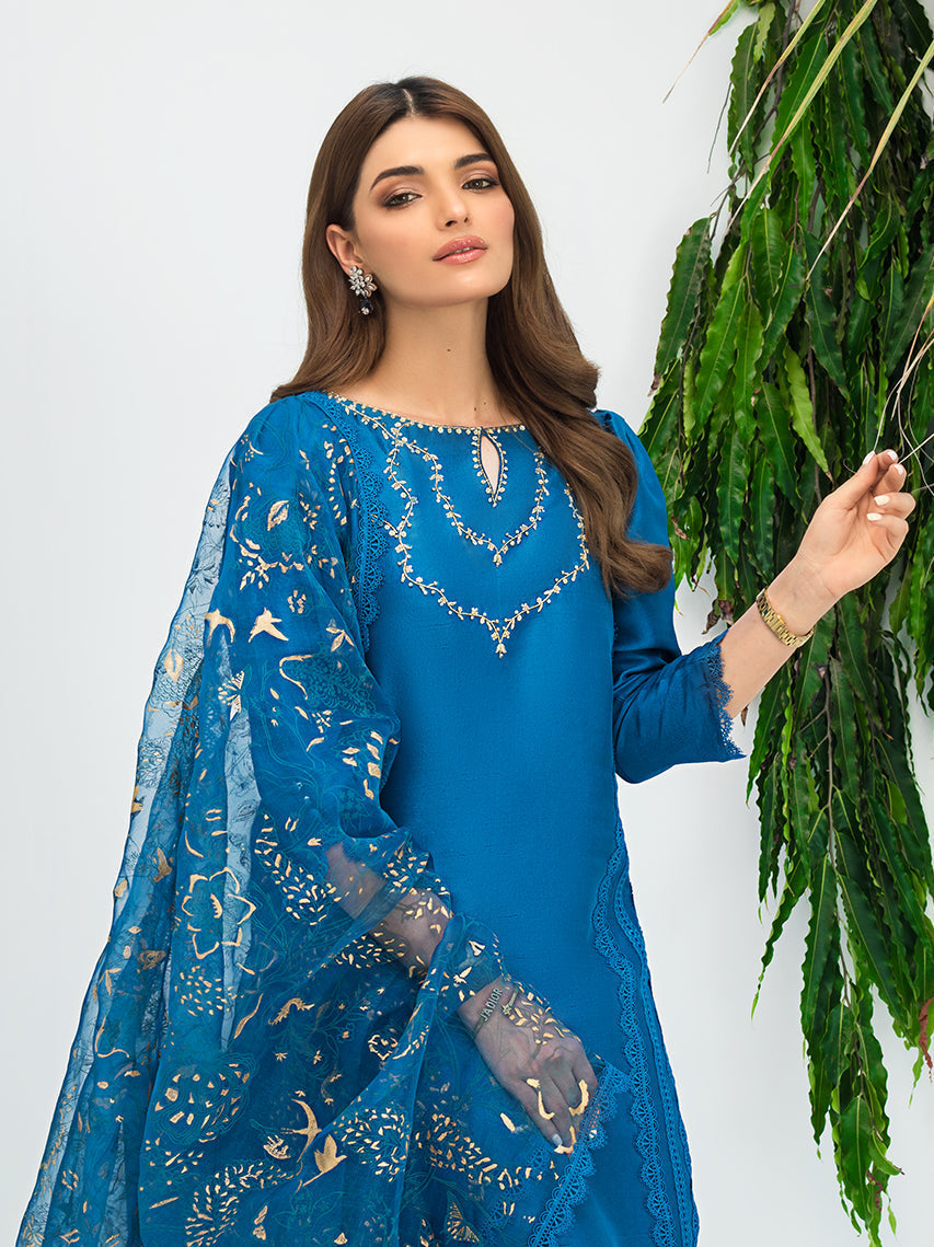 Anam Akhlaq | Festive Collection | D-07 - Riwayat-e-Khas