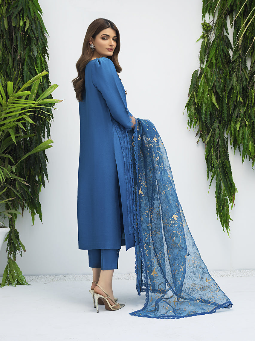 Anam Akhlaq | Festive Collection | D-07 - Riwayat-e-Khas