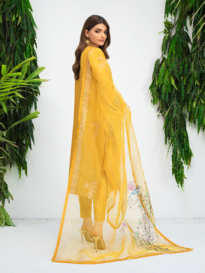 Anam Akhlaq | Festive Collection | D-10 - Riwayat-e-Khas