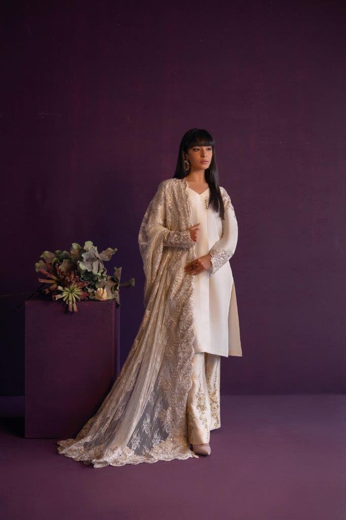 Anam Akhlaq | Festive Collection | D-47 - Riwayat-e-Khas