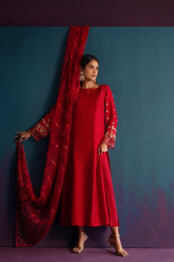 Anam Akhlaq | Festive Collection | D-46 - Riwayat-e-Khas