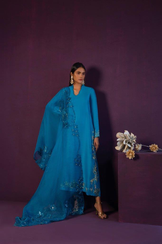 Anam Akhlaq | Festive Collection | D-45 - Riwayat-e-Khas