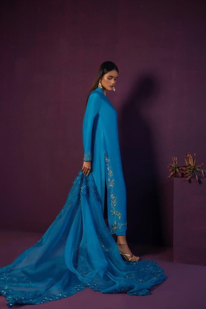 Anam Akhlaq | Festive Collection | D-45 - Riwayat-e-Khas