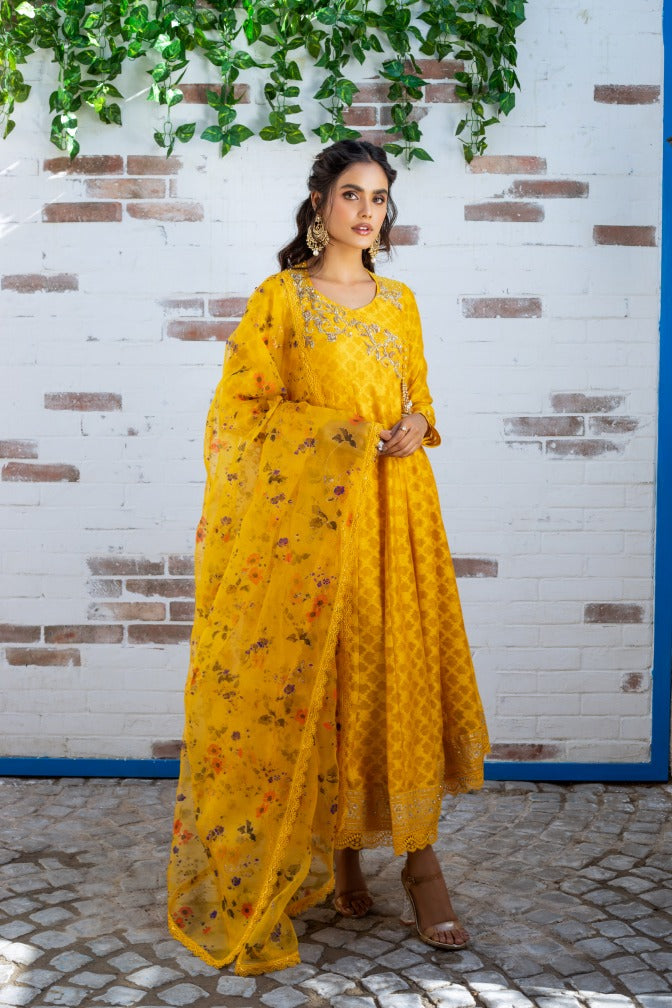 Anam Akhlaq | Festive Collection | D-12 - Riwayat-e-Khas