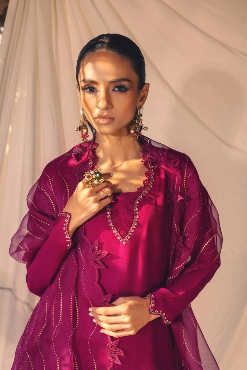 Anam Akhlaq | Festive Collection | D-53 - Riwayat-e-Khas