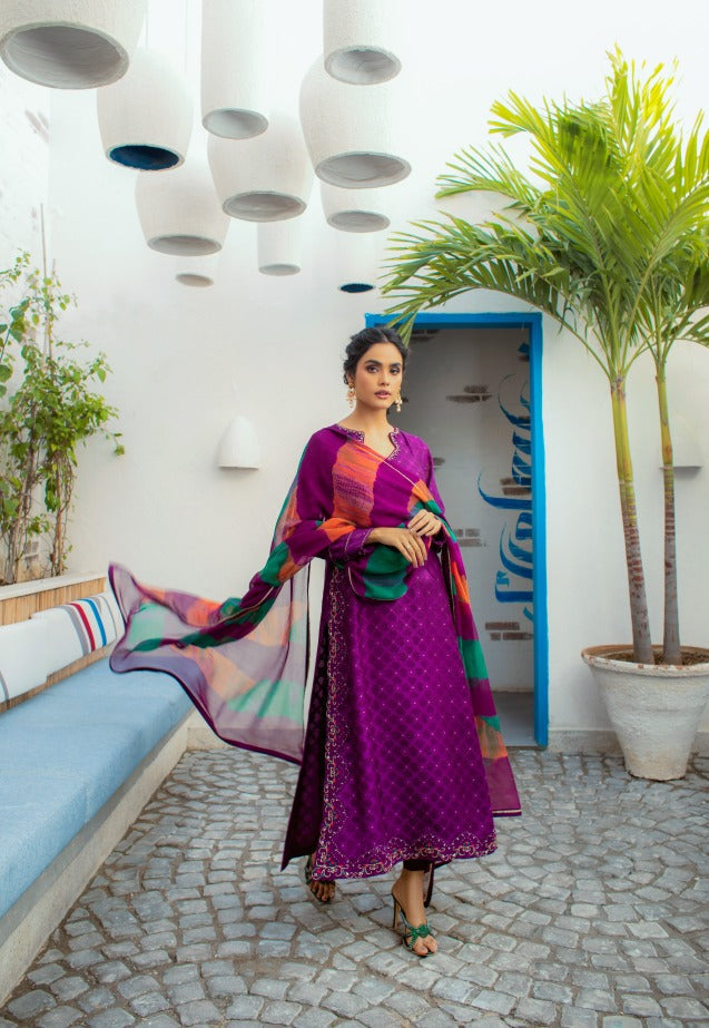 Anam Akhlaq | Festive Collection | D-14 - Riwayat-e-Khas