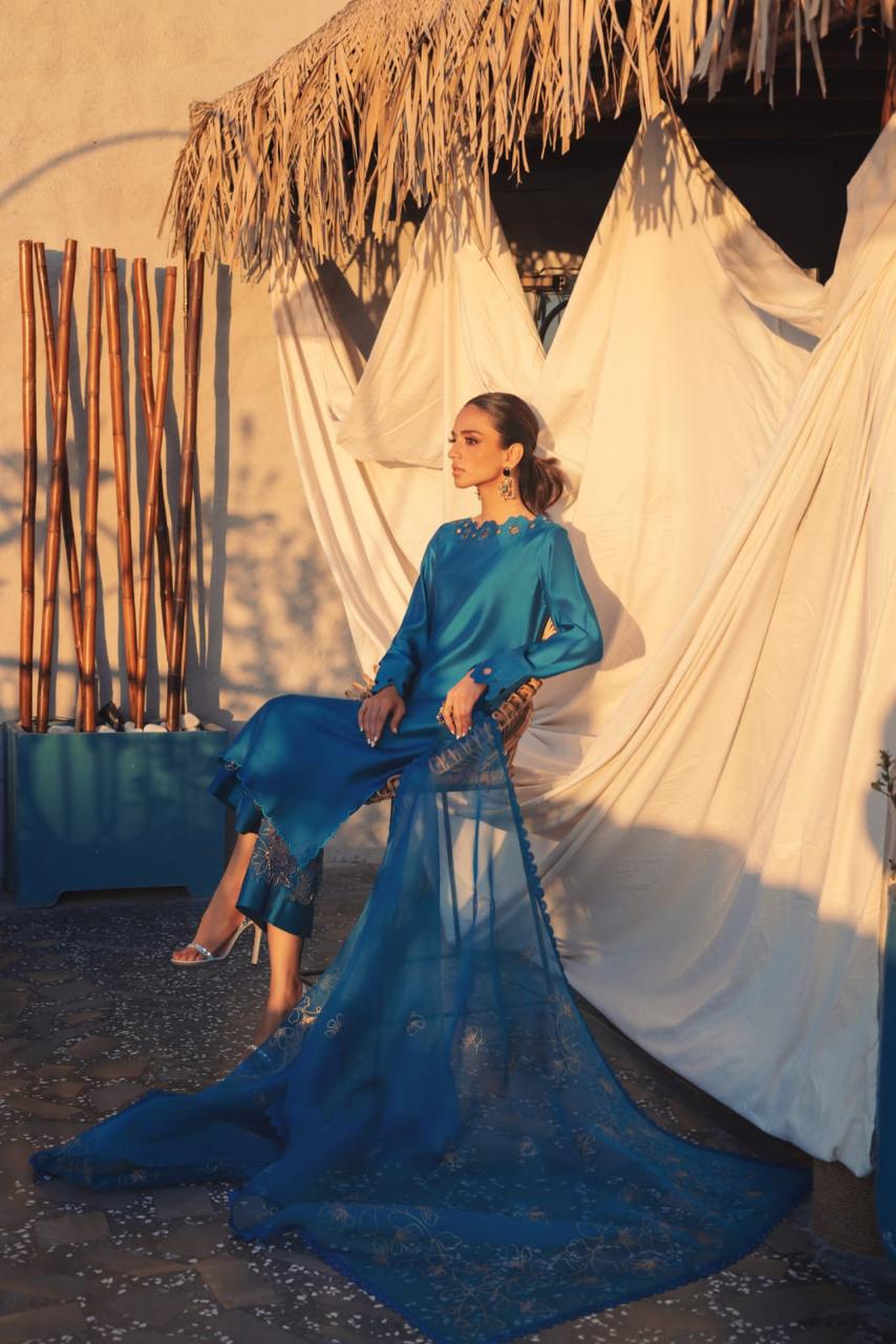 Anam Akhlaq | Festive Collection | D-50 - Riwayat-e-Khas