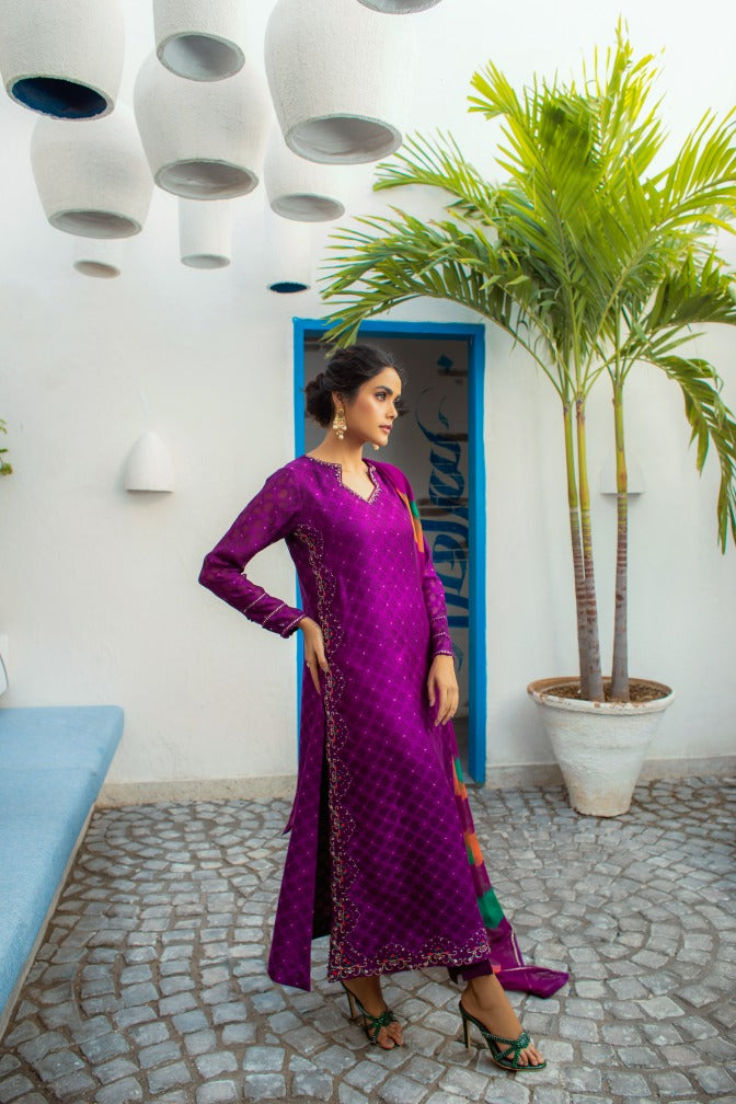 Anam Akhlaq | Festive Collection | D-14 - Riwayat-e-Khas