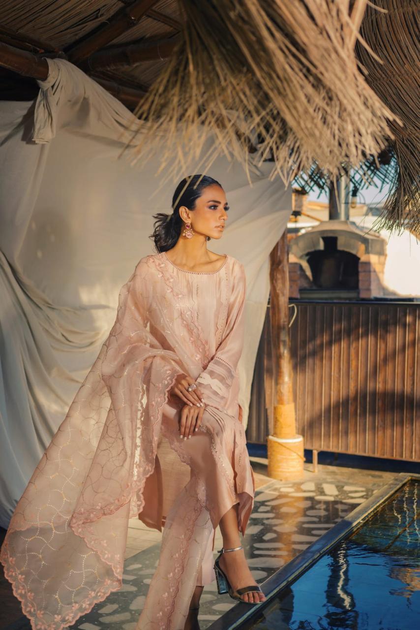 Anam Akhlaq | Festive Collection | D-49 - Riwayat-e-Khas