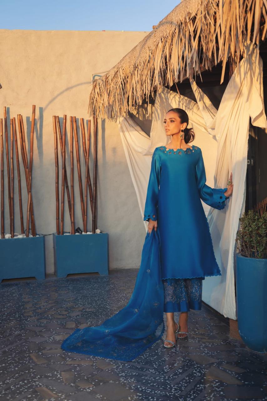 Anam Akhlaq | Festive Collection | D-50 - Riwayat-e-Khas