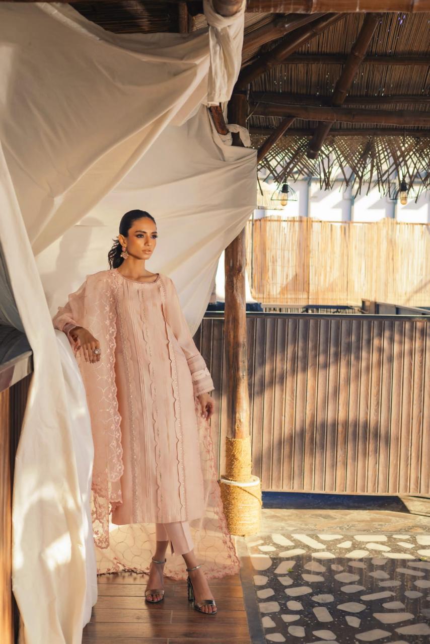 Anam Akhlaq | Festive Collection | D-49 - Riwayat-e-Khas