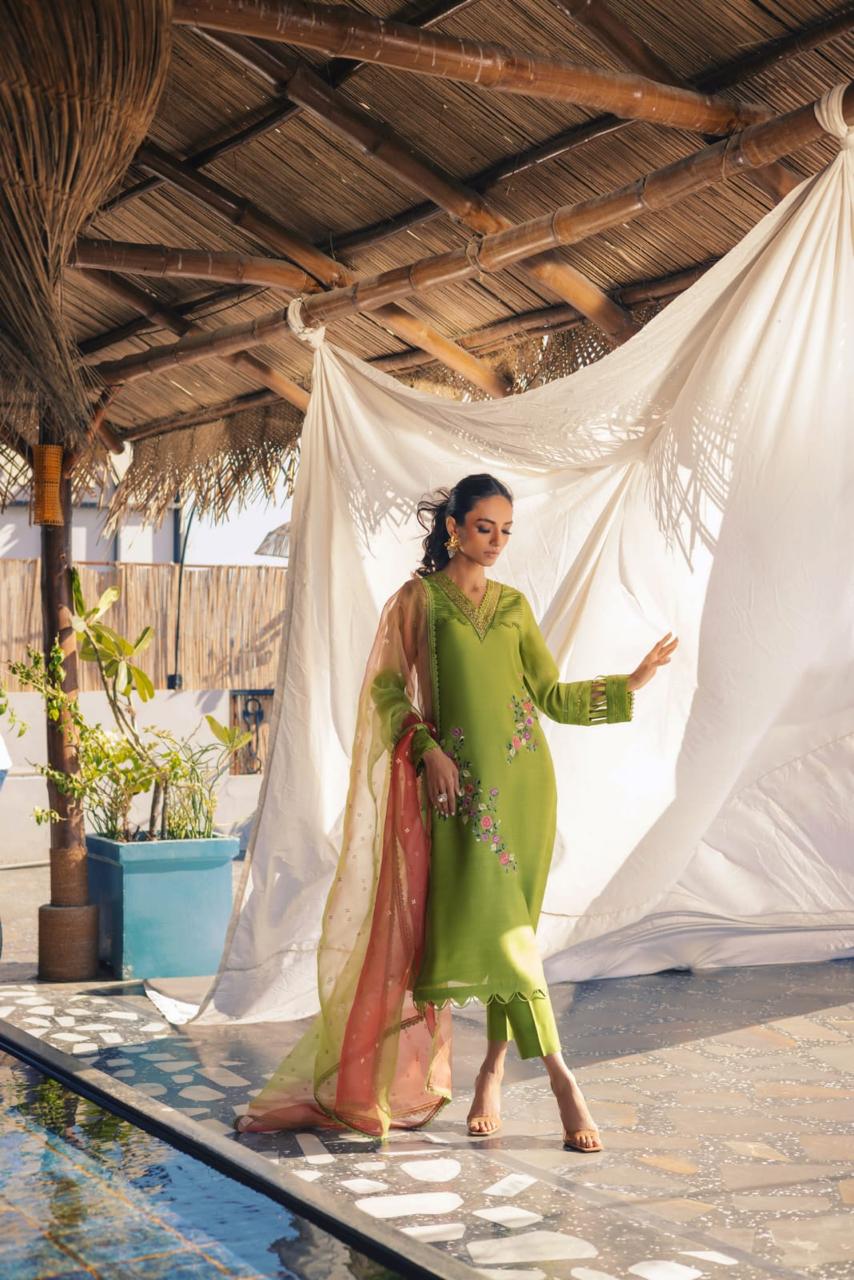 Anam Akhlaq | Festive Collection | D-51 - Riwayat-e-Khas