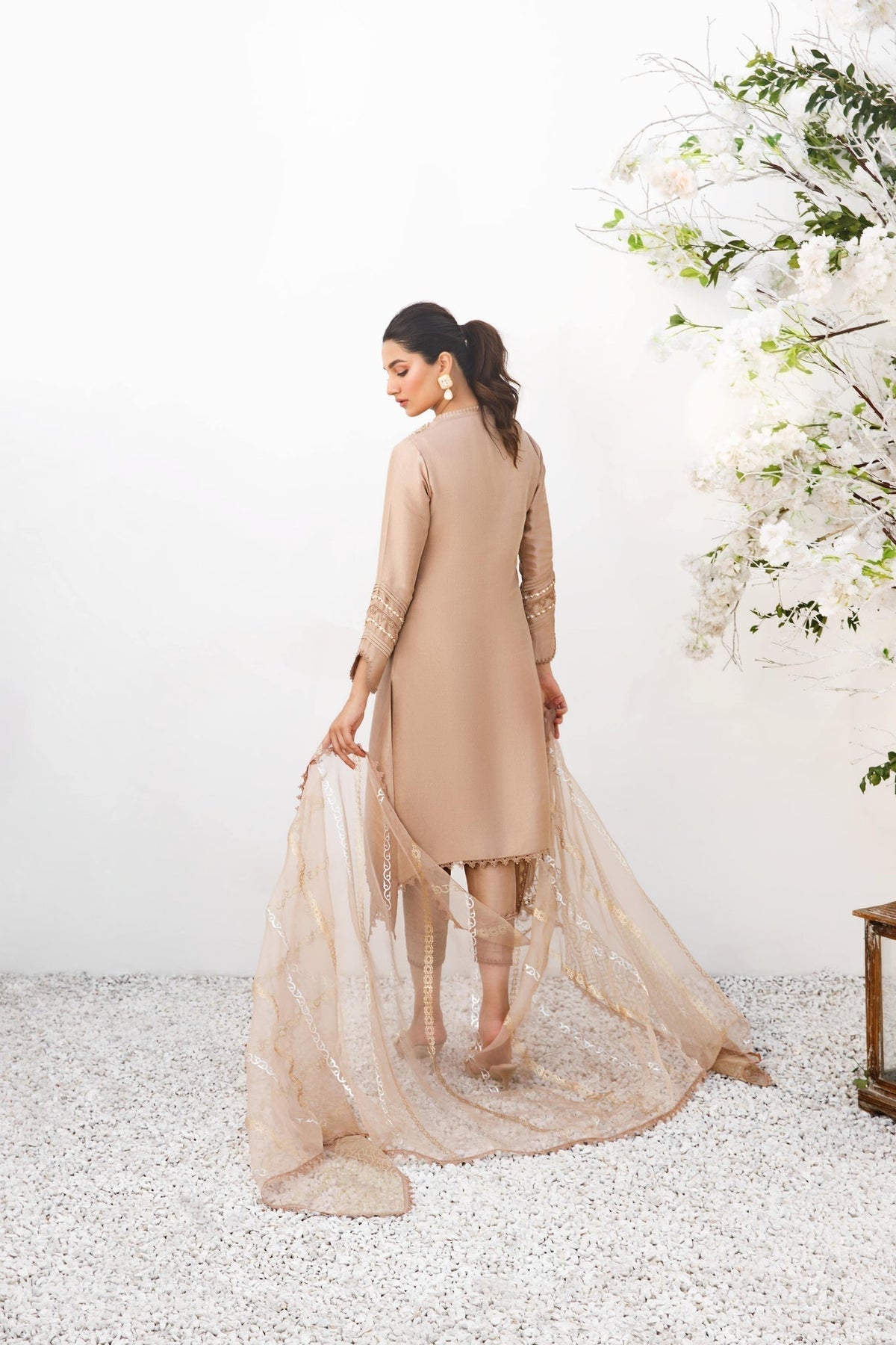 Anam Akhlaq | Festive Collection | D-18 - Riwayat-e-Khas