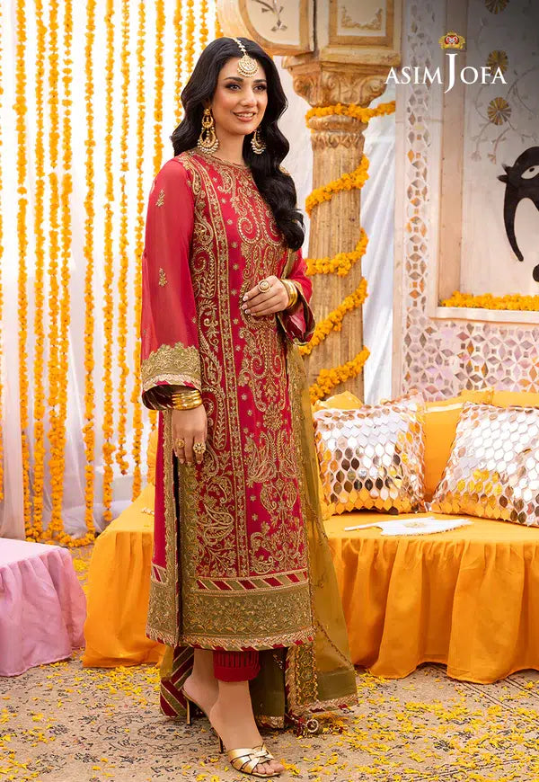 Asim Jofa | Dastaan Collection 24 | AJDA-29 - House Of Anaya