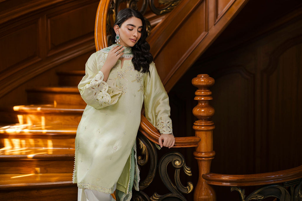 Dhanak | Luxury Pret | SS25DL-0335