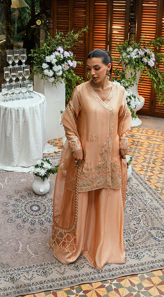 Dhanak | Luxury Pret | SS25DL-0330