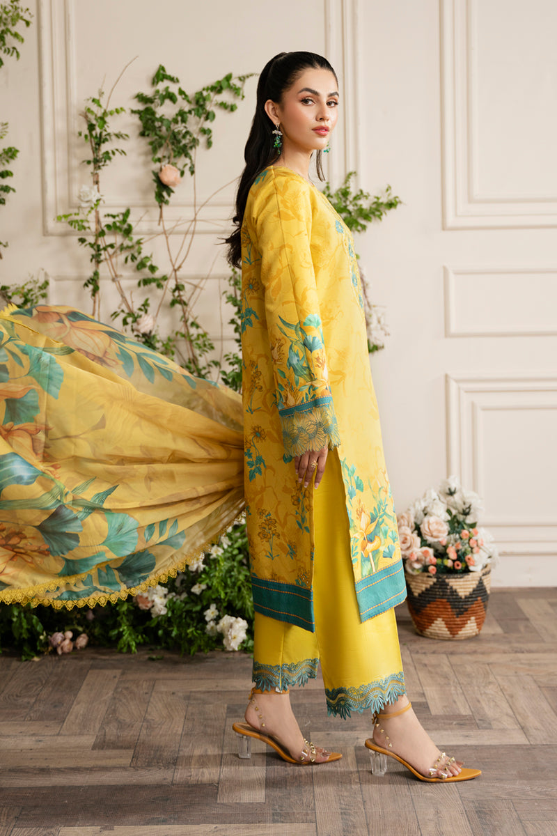 Rangrasiya | Lifestyle Embroidered Edit 24 | SERENA