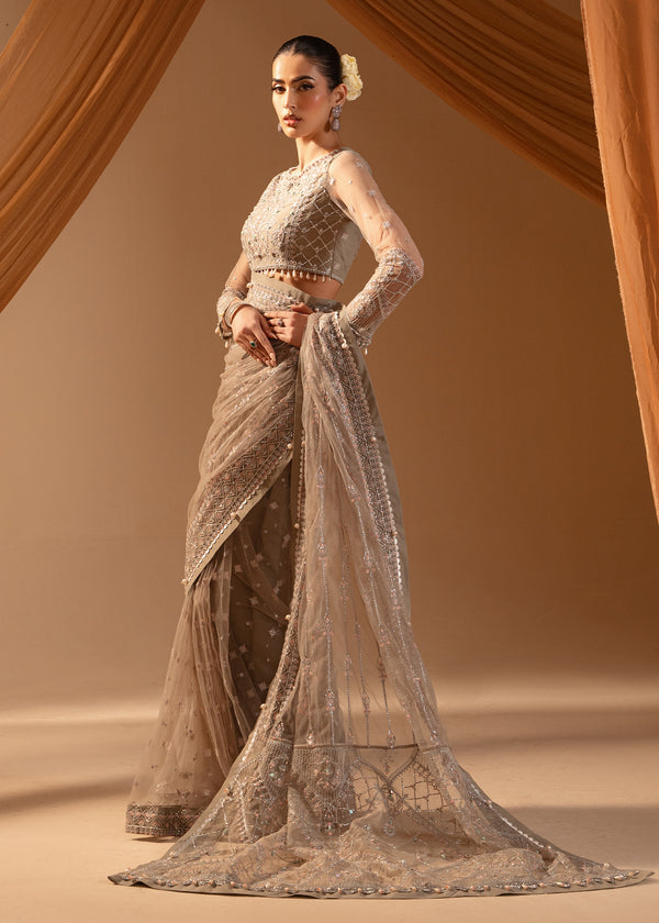 Paras by Pasha | Noor -e- Jahan Saree Collection | Abr-e-Shaam