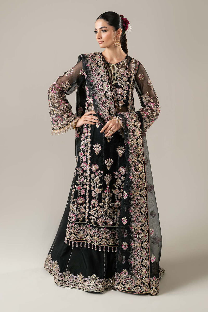 Enzo | Etoile Filante Luxury Collection | CLAIRE DE LUNE - Riwayat-e-Khas