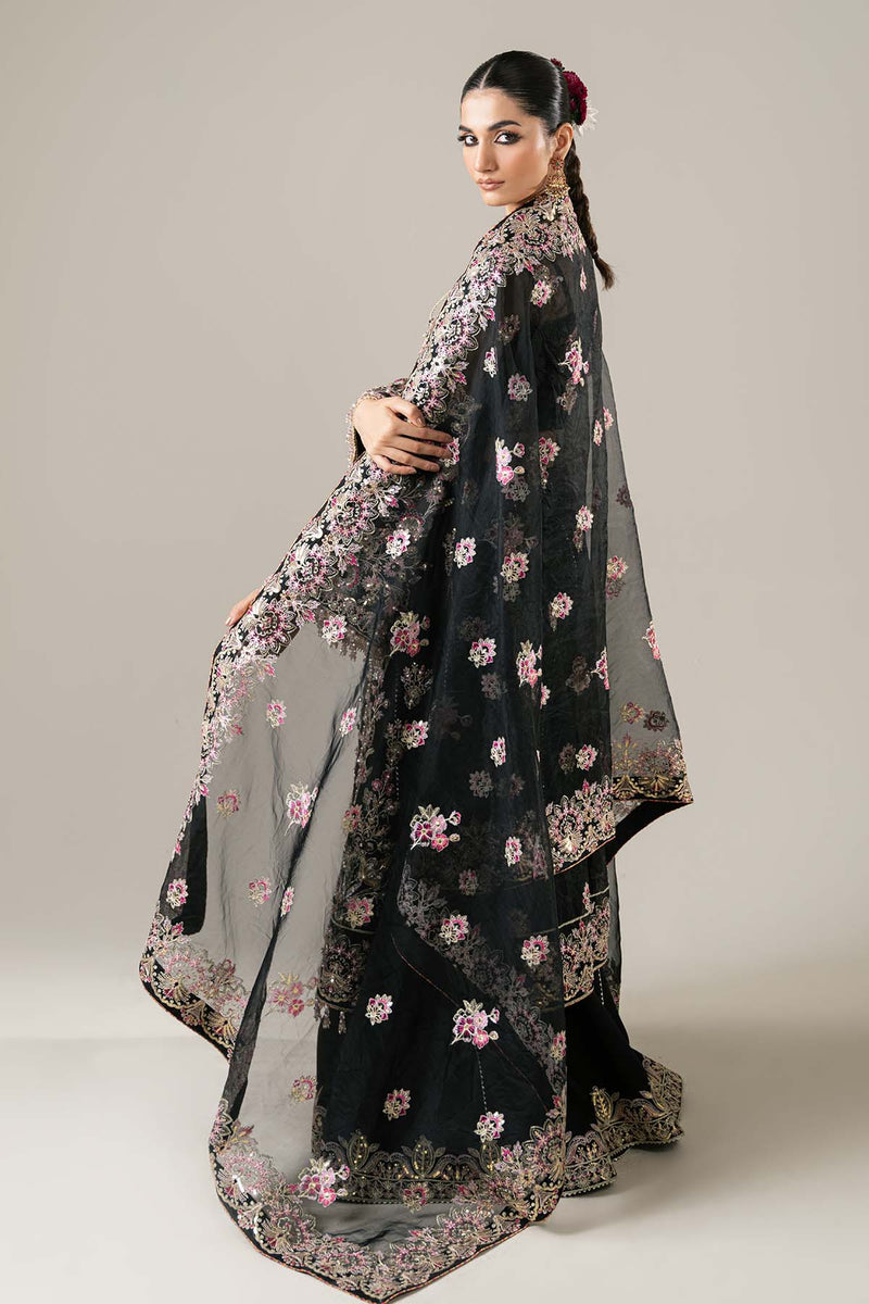 Enzo | Etoile Filante Luxury Collection | CLAIRE DE LUNE - Riwayat-e-Khas