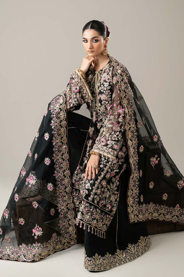 Enzo | Etoile Filante Luxury Collection | CLAIRE DE LUNE - Riwayat-e-Khas