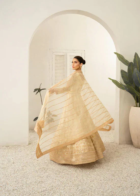 Daud Abbas | Shehnai Festive Formals 24 | Jahan - House Of Anaya