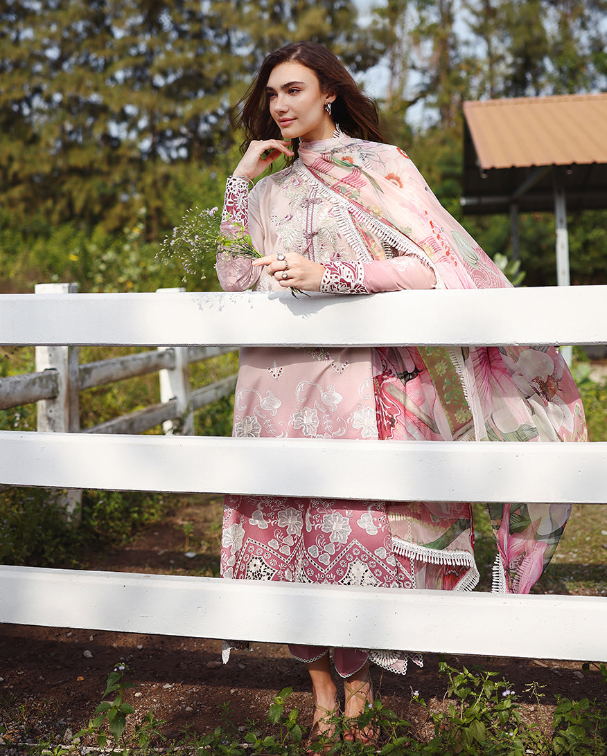 Mushq | Solace | Ombre Chikankari | Dew Drift