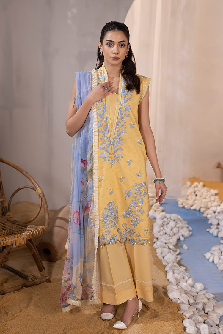 Ellena | Luxury Embroidered Collection| P-02 - Riwayat-e-Khas