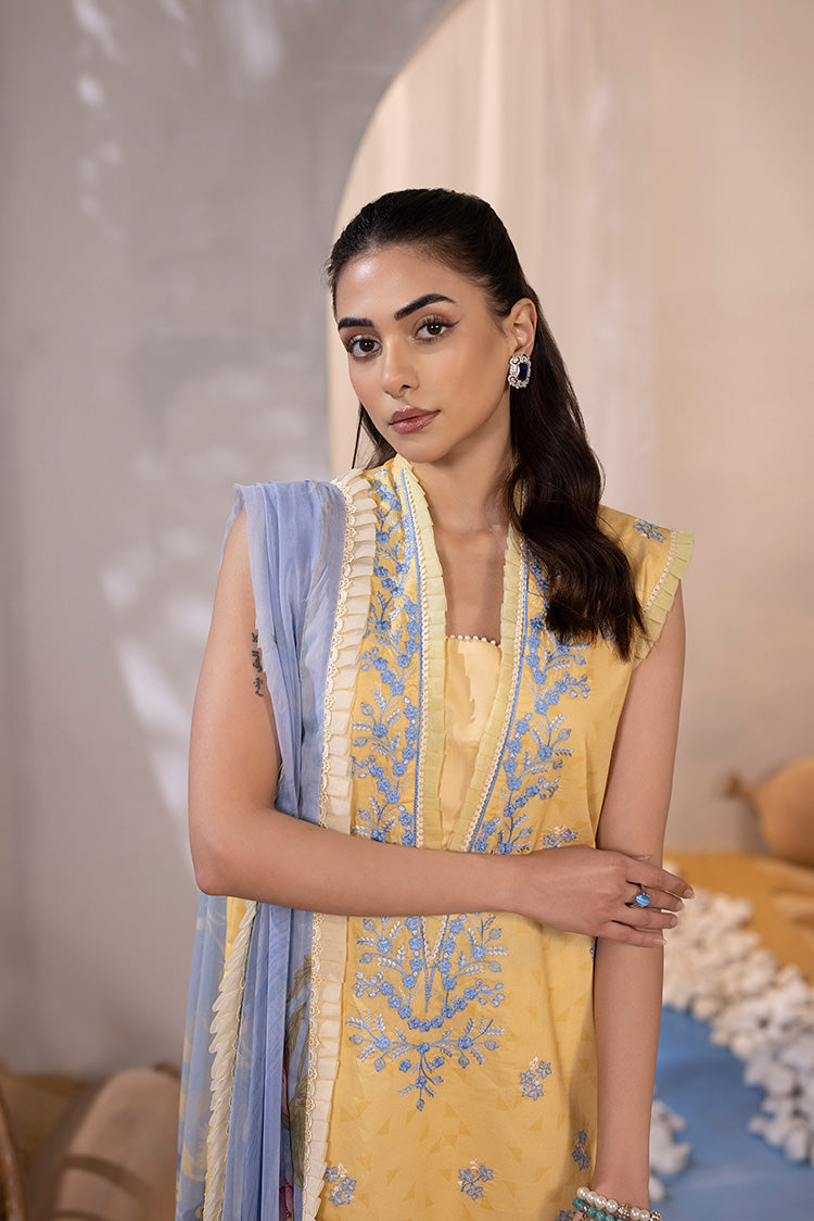 Ellena | Luxury Embroidered Collection| P-02 - Riwayat-e-Khas