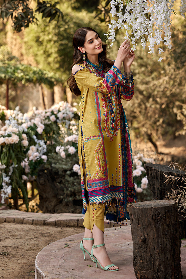 Ellena | Luxury Embroidered Collection | D05 - Riwayat-e-Khas