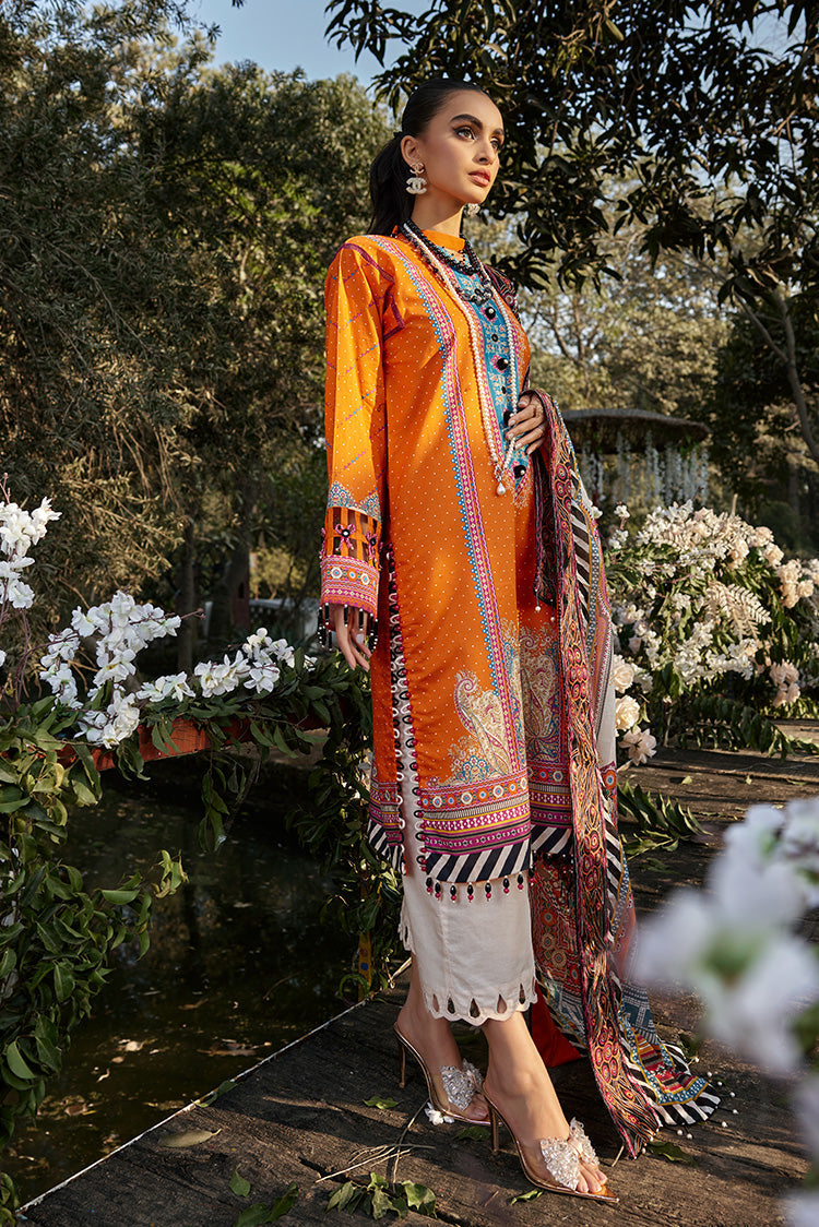 Ellena | Luxury Embroidered Collection | D13 - Riwayat-e-Khas